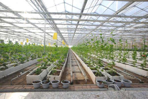 5e6ae9009cb19.jpg 圖片9.jpg