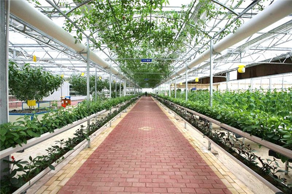 5e6af585b2802.jpg 5cff698fa5d60.jpg